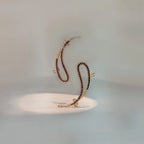 Celebrity Earring